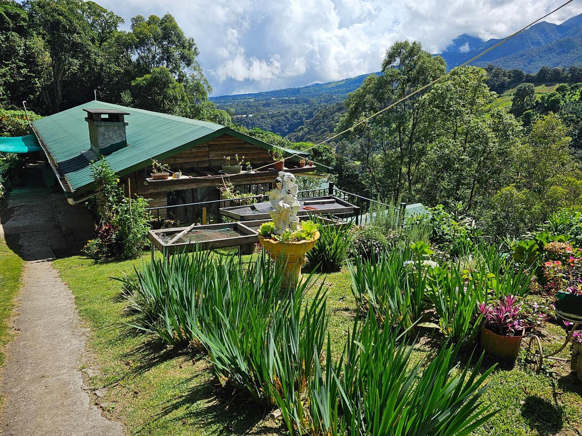 Eco Horqueta Bed & Breakfast Boquete Dış mekan fotoğraf