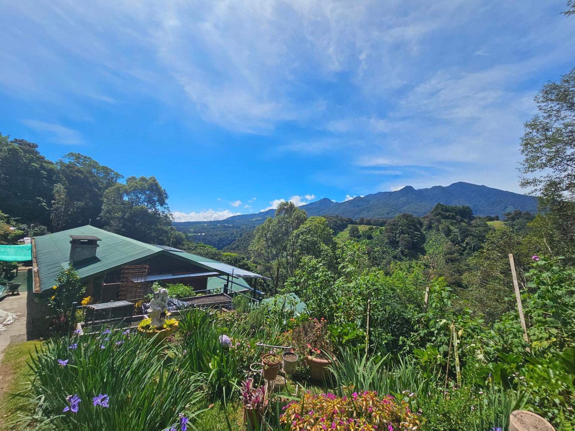 Eco Horqueta Bed & Breakfast Boquete Dış mekan fotoğraf