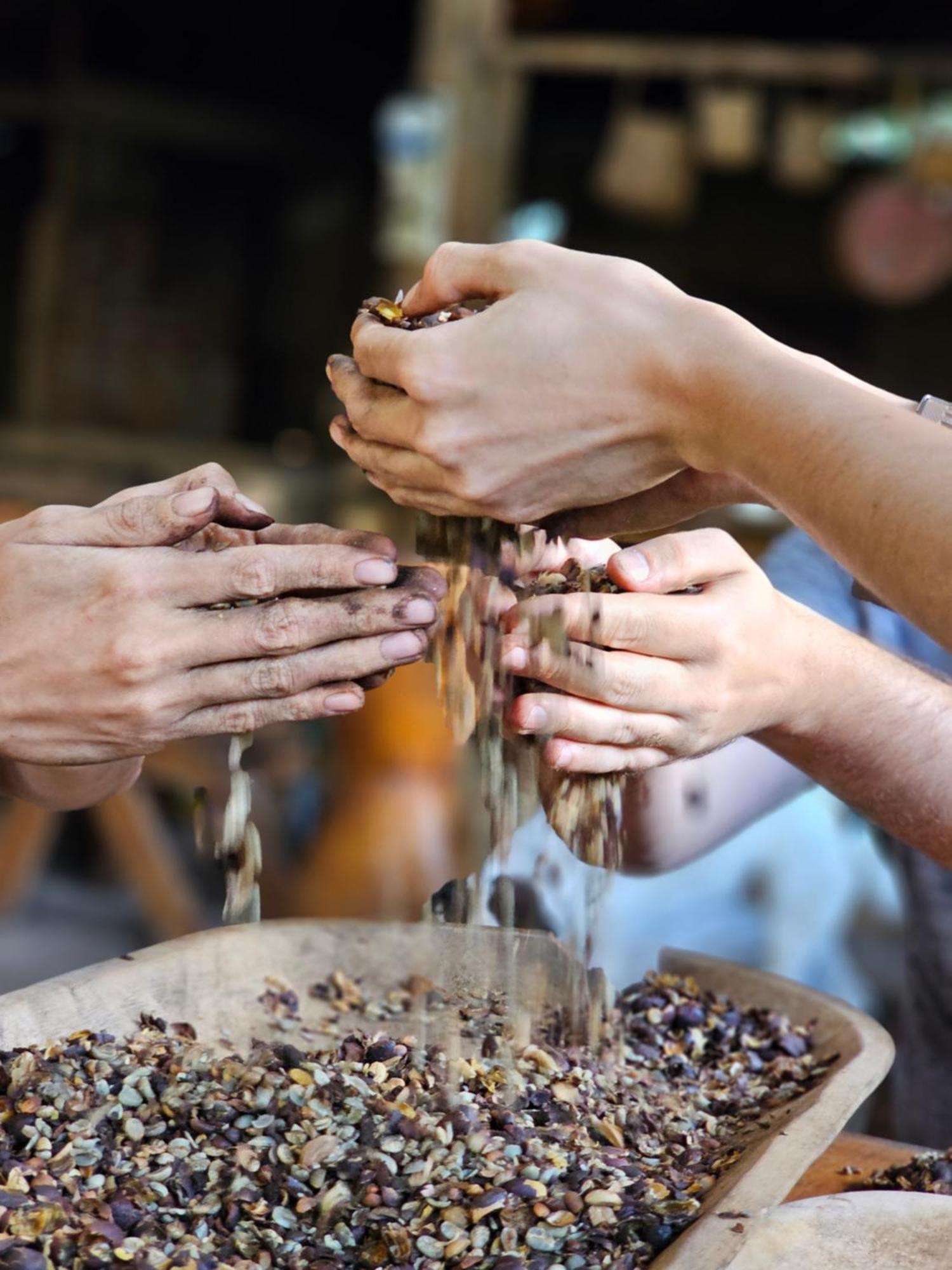 Eco Horqueta Bed & Breakfast Boquete Dış mekan fotoğraf