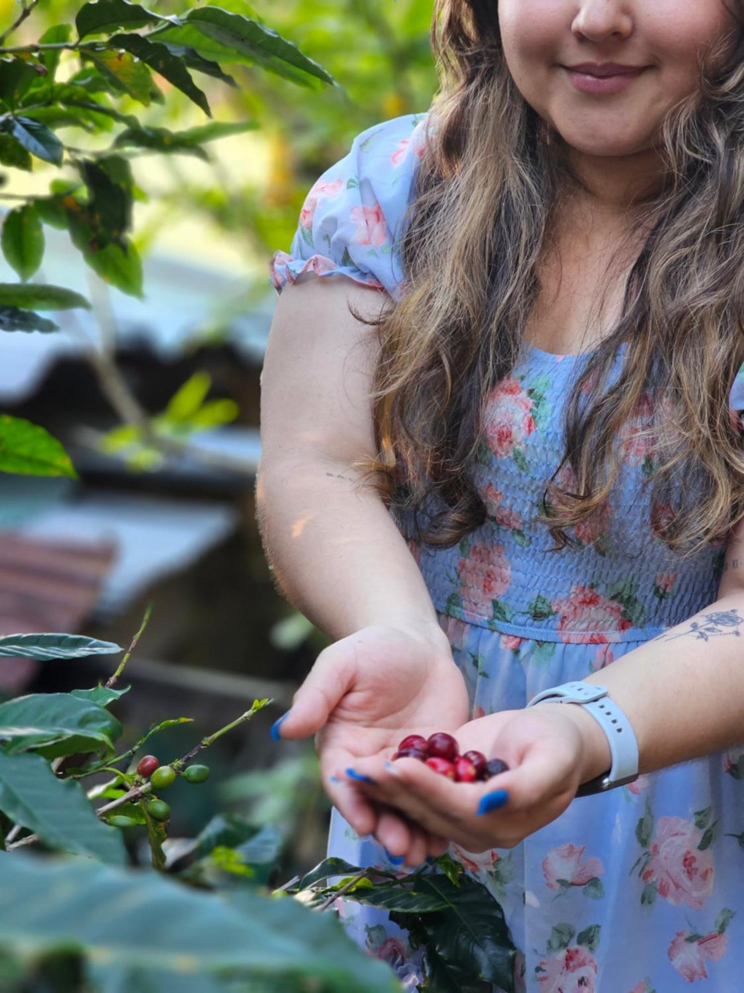 Eco Horqueta Bed & Breakfast Boquete Dış mekan fotoğraf