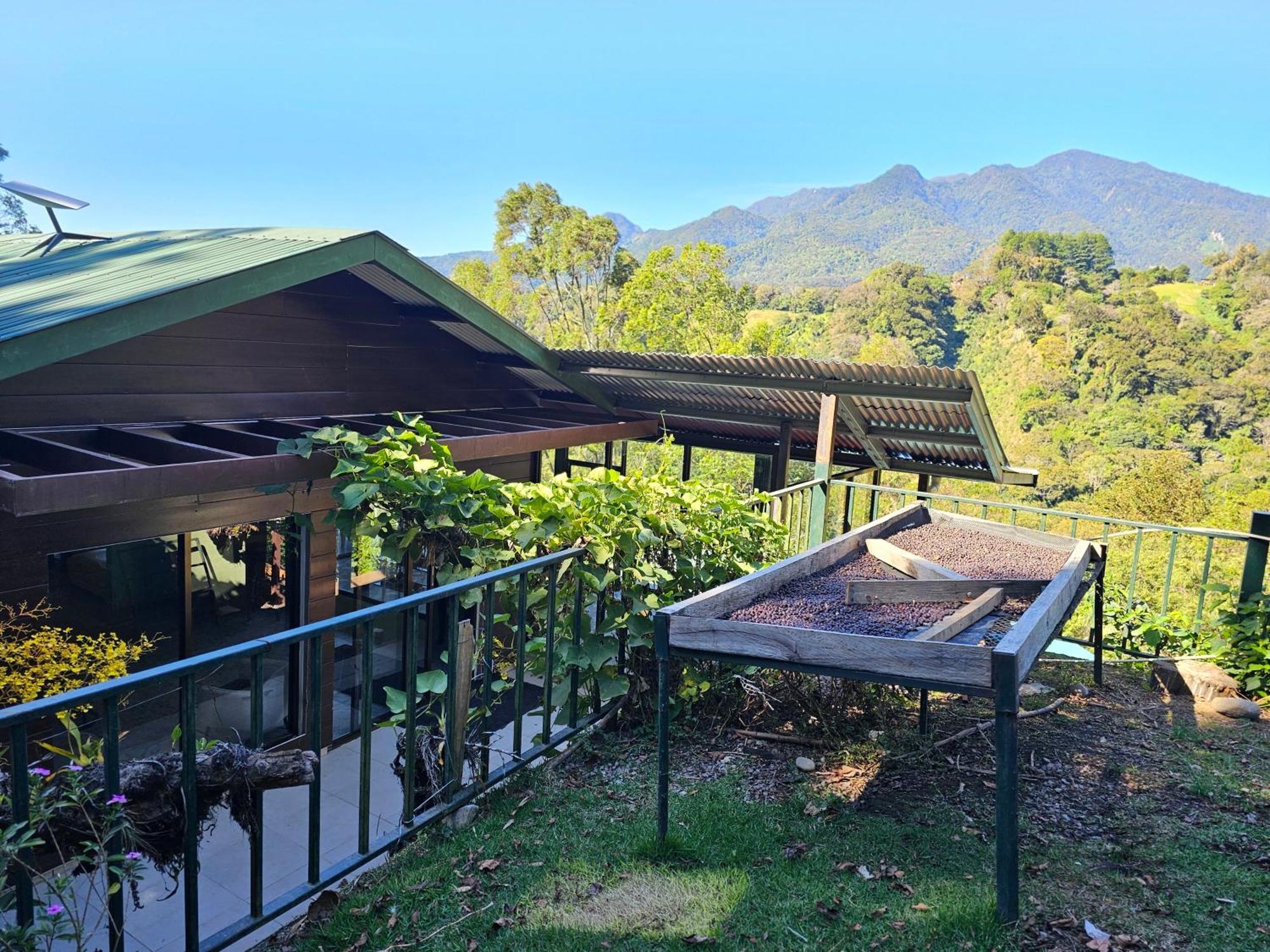 Eco Horqueta Bed & Breakfast Boquete Dış mekan fotoğraf