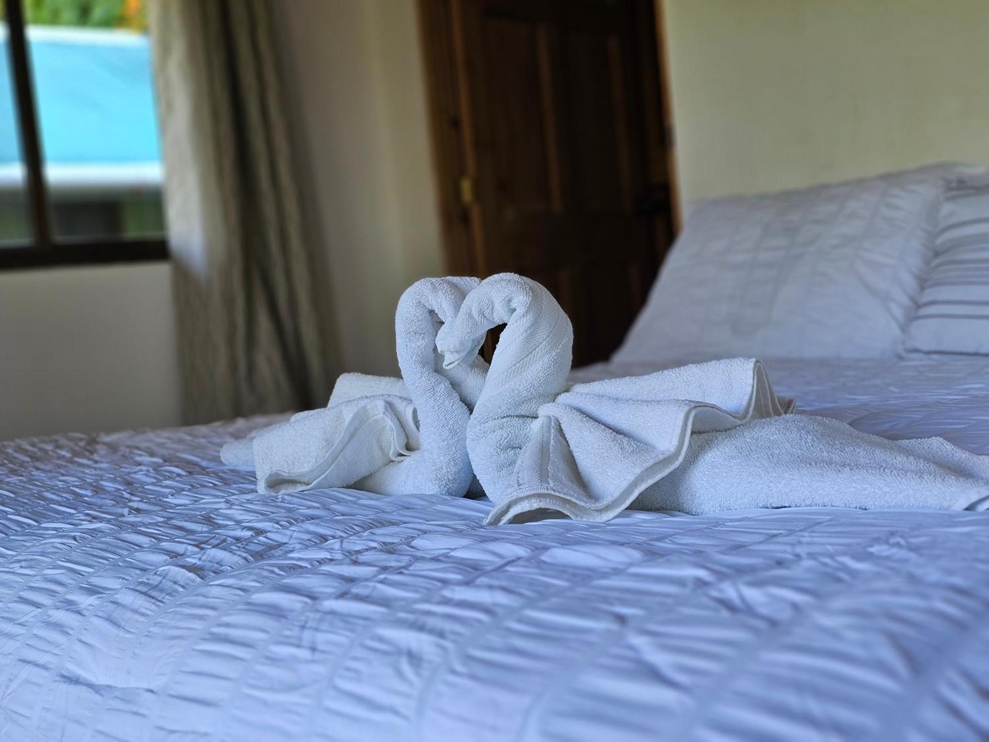 Eco Horqueta Bed & Breakfast Boquete Dış mekan fotoğraf