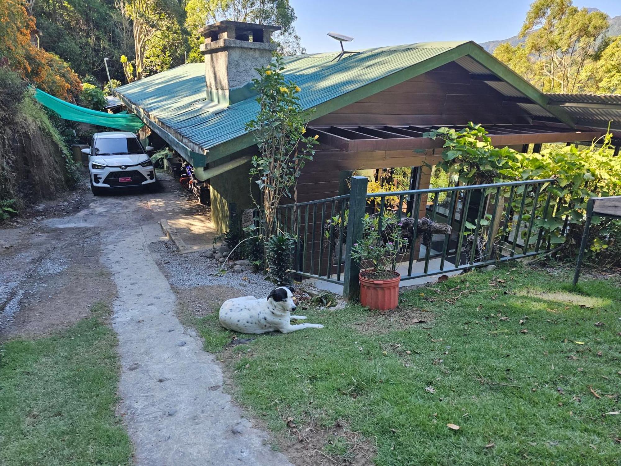 Eco Horqueta Bed & Breakfast Boquete Dış mekan fotoğraf