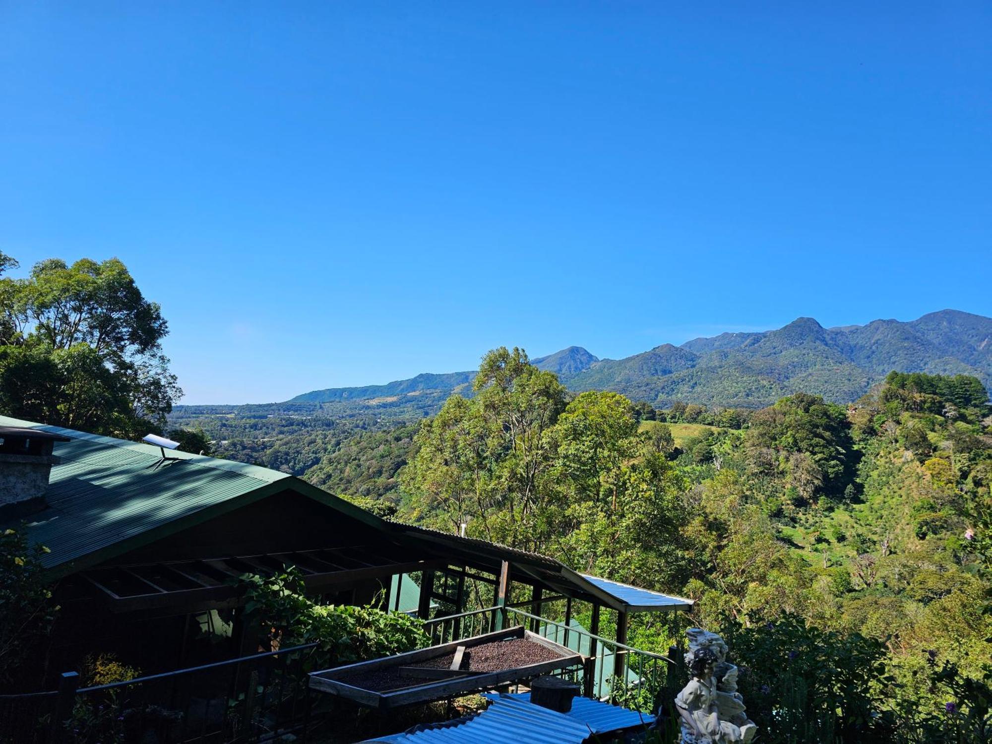 Eco Horqueta Bed & Breakfast Boquete Dış mekan fotoğraf