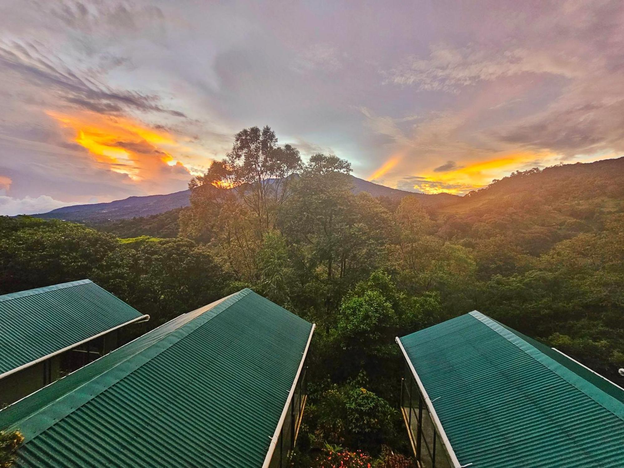 Eco Horqueta Bed & Breakfast Boquete Dış mekan fotoğraf
